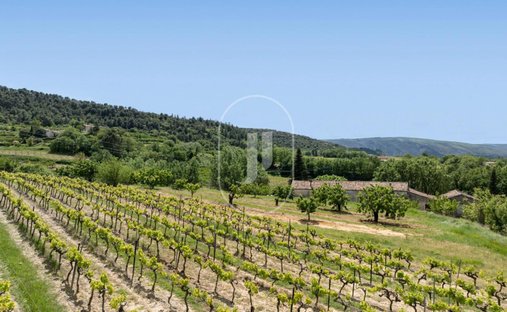 Luberon, Provence Magnificent 17th Century Castle With Agricultural Outbuildings And 84 Ha Of Wood