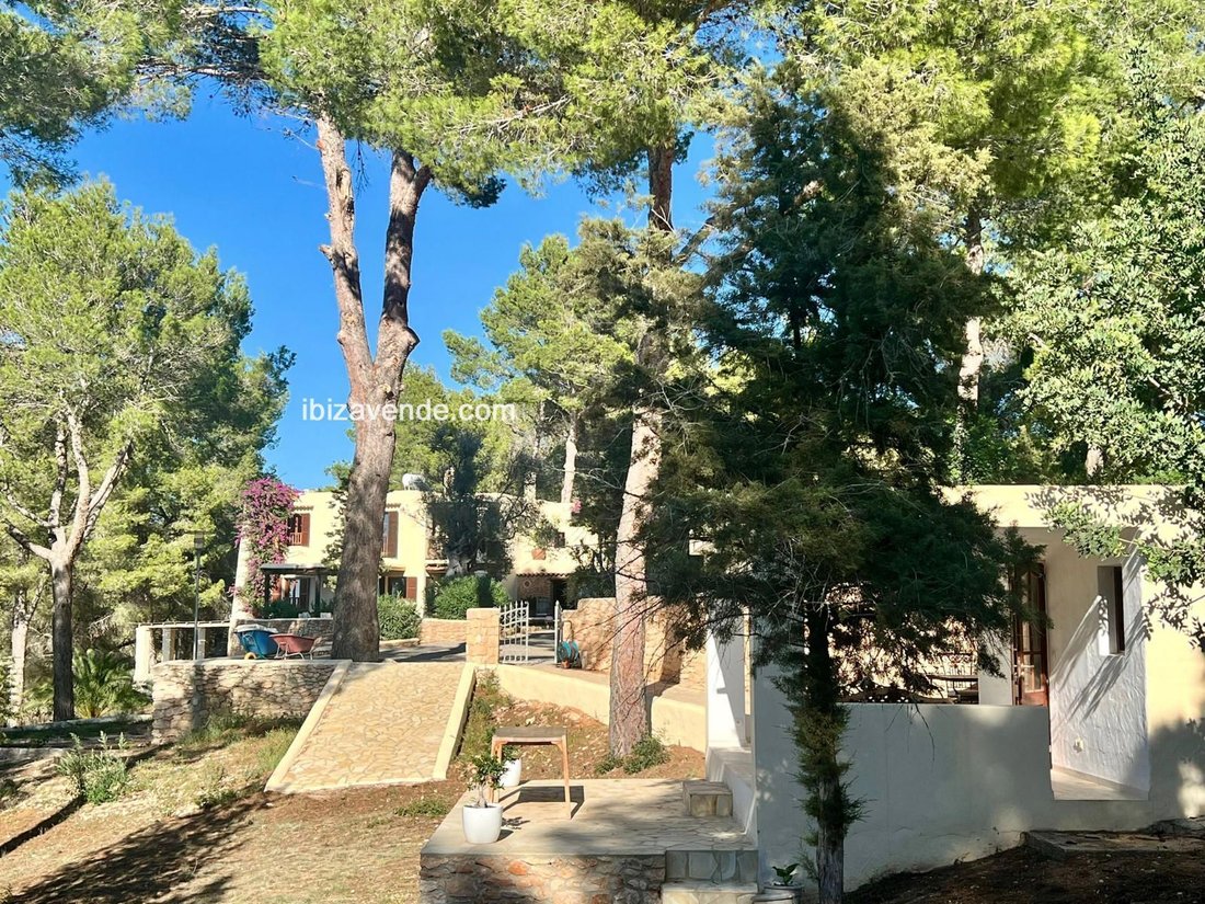 House in Sant Rafel de sa Creu, Sant Antoni de Portmany, Balearic Islands 3 - 14944772