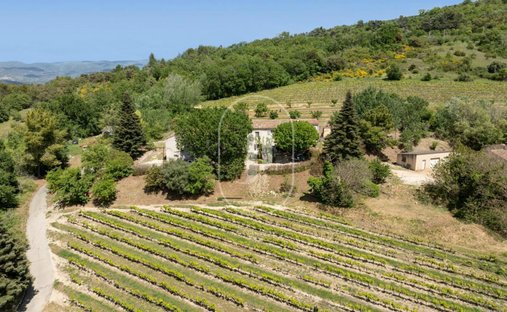 Luberon, Provence Magnificent 17th Century Castle With Agricultural Outbuildings And 84 Ha Of Wood