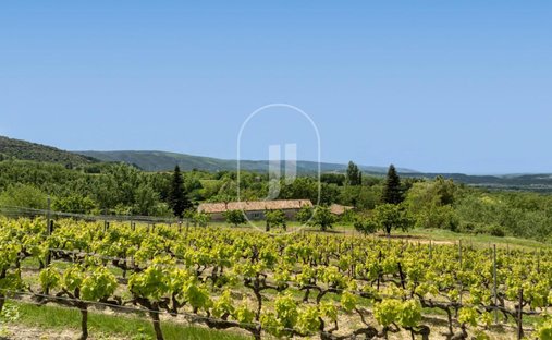 Luberon, Provence Magnificent 17th Century Castle With Agricultural Outbuildings And 84 Ha Of Wood