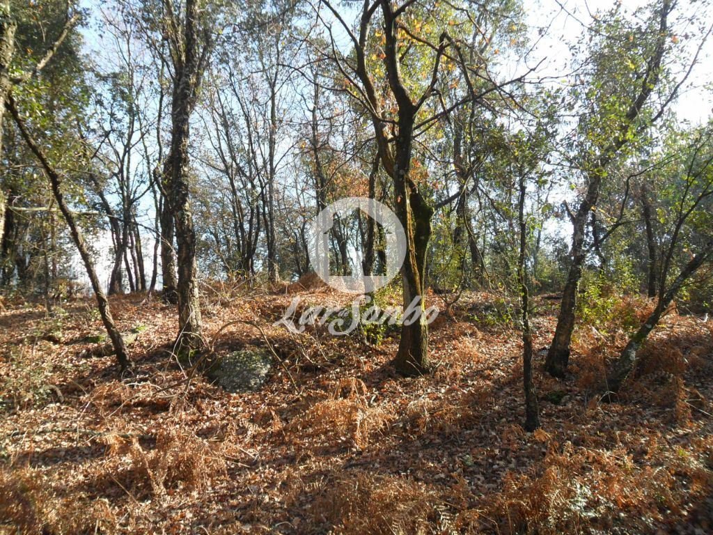 Terreno en Candoso Sao Tiago e Mascotelos, Braga, Portugal 2 - 14948381