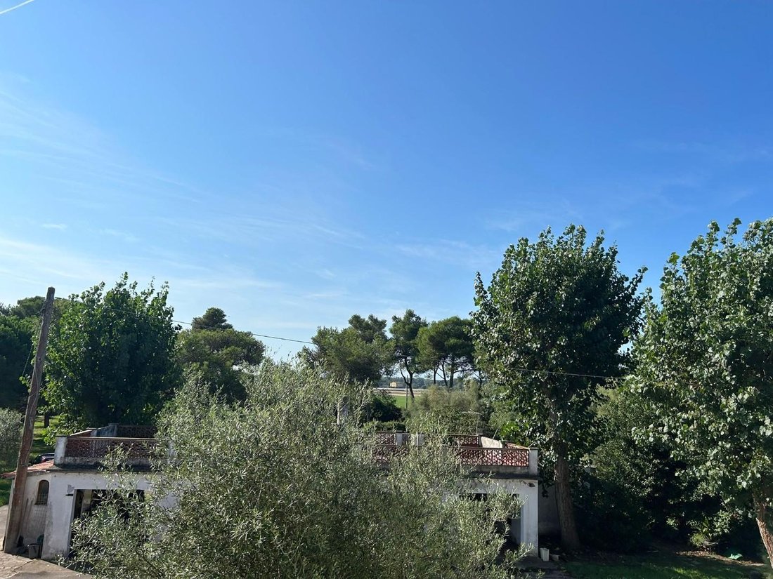 Villa a Tirrenia, Toscana, Italia 5 - 14948782