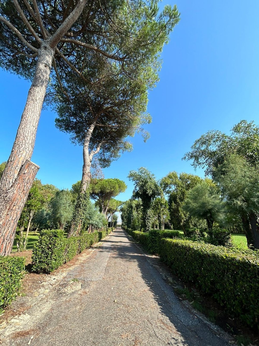Villa a Tirrenia, Toscana, Italia 2 - 14948782