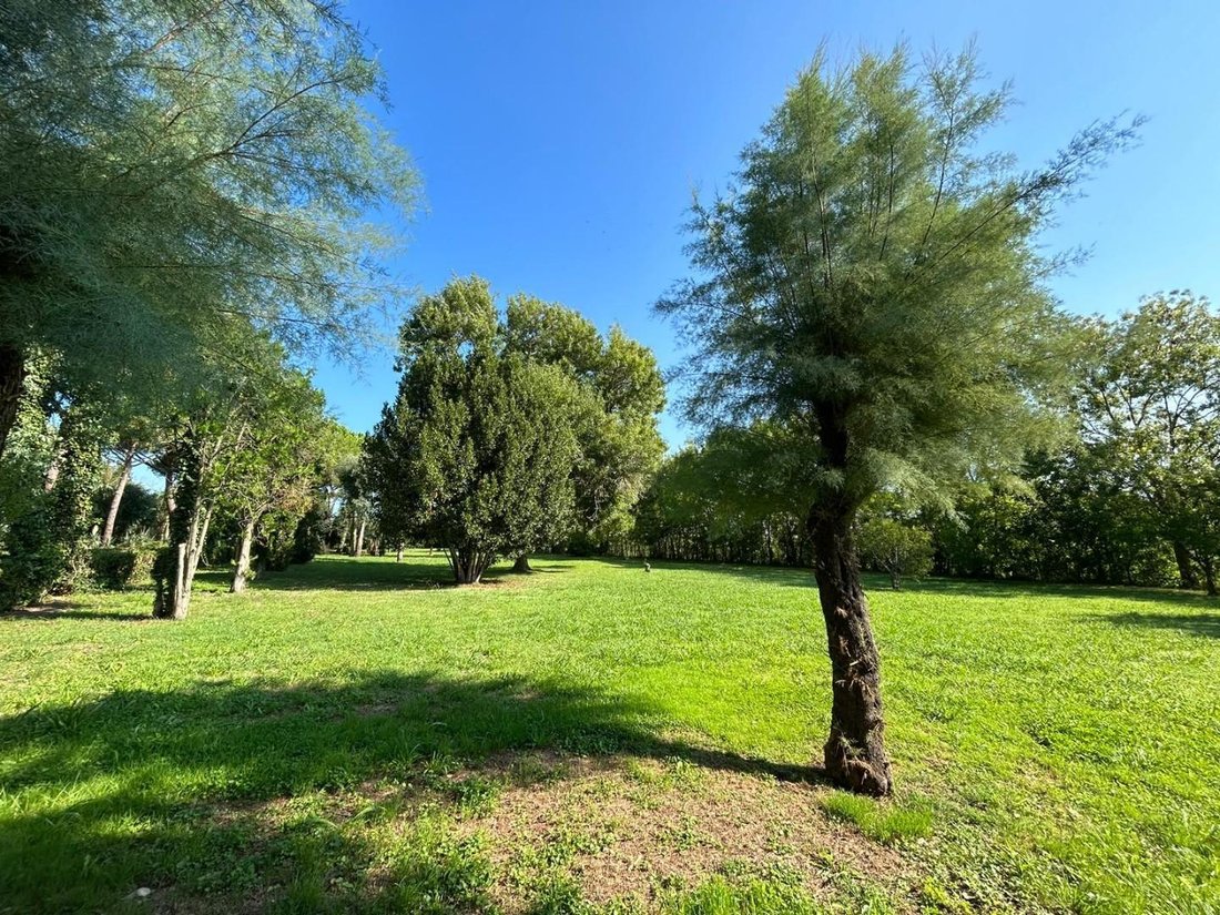 Villa a Tirrenia, Toscana, Italia 3 - 14948782