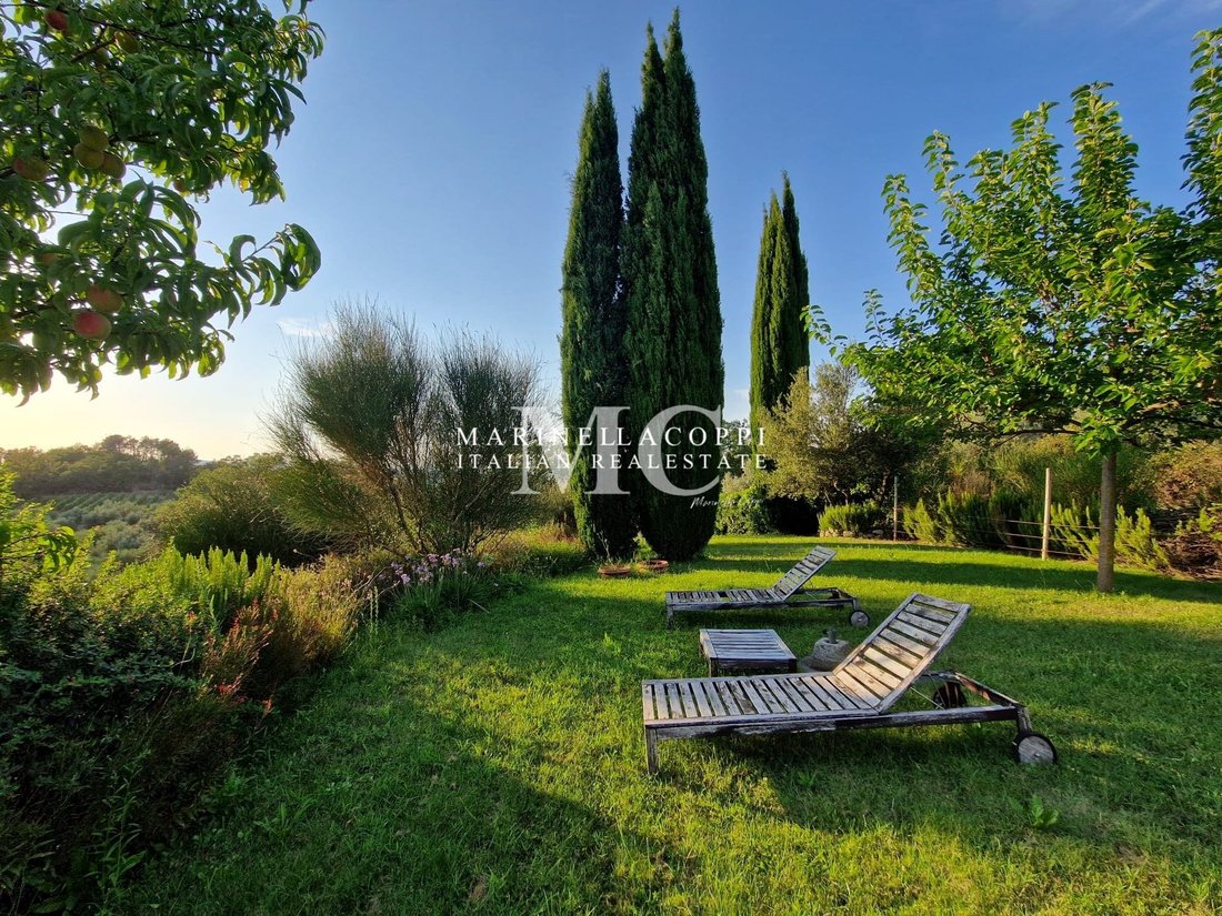 Villa in Center, Greve in Chianti, Tuscany 5 - 13887296