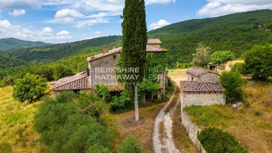 Estate in Radda in Chianti, Tuscany, Italy 4 - 13131896