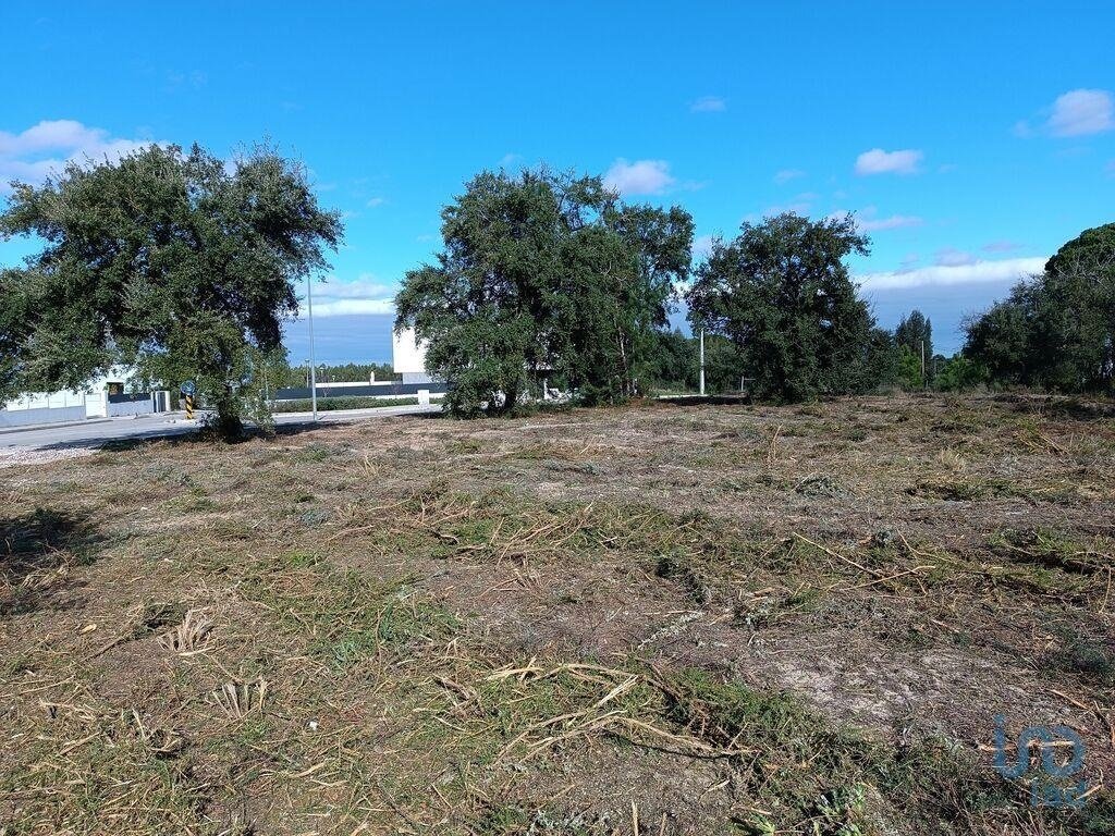 Land in Santiago, Setubal, Portugal 5 - 11917498