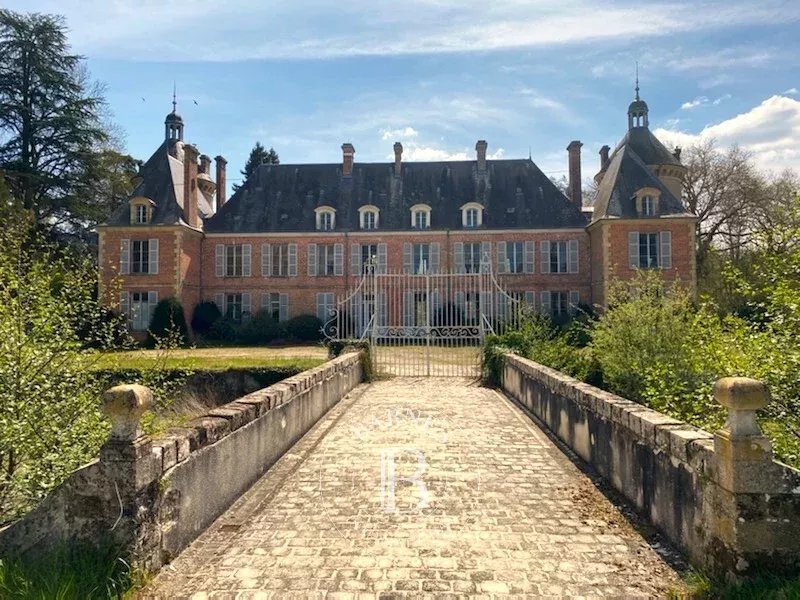 Castle in Salbris, Centre-Val de Loire, France 2 - 14531491