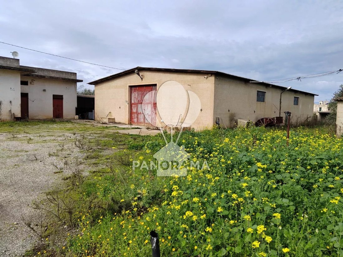 Farm Ranch in Partinico, Sicily, Italy 3 - 13893824