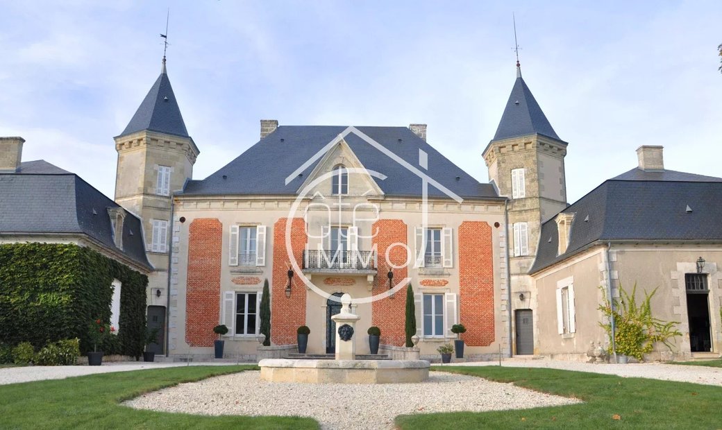 5 Min From Sainte Foy La Grande: Historic Castle Of 600m², Its Vineyard Of 85ha, Gîtes, Stable And 3