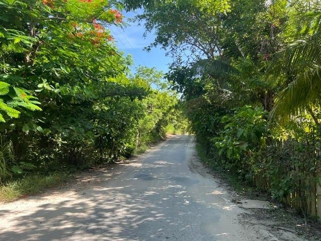Land in Dunmore Town, Harbour Island, The Bahamas 2 - 14952641