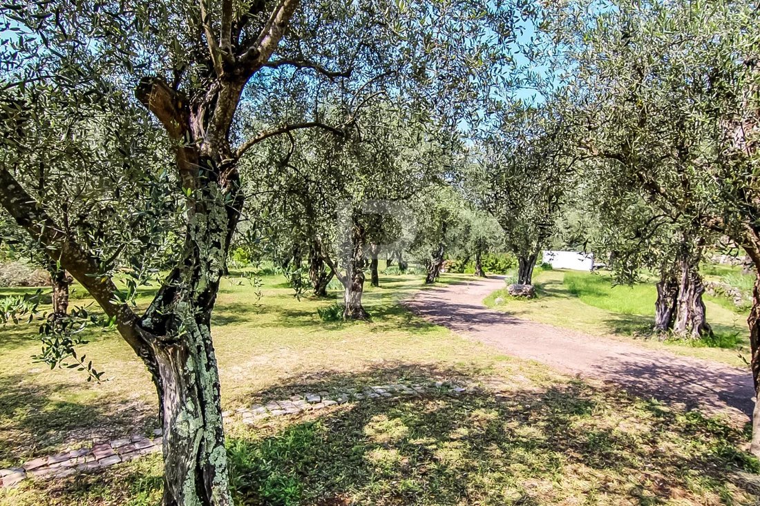 Haus in Grasse, Provence-Alpes-Côte d'Azur, Frankreich 5 - 13083481