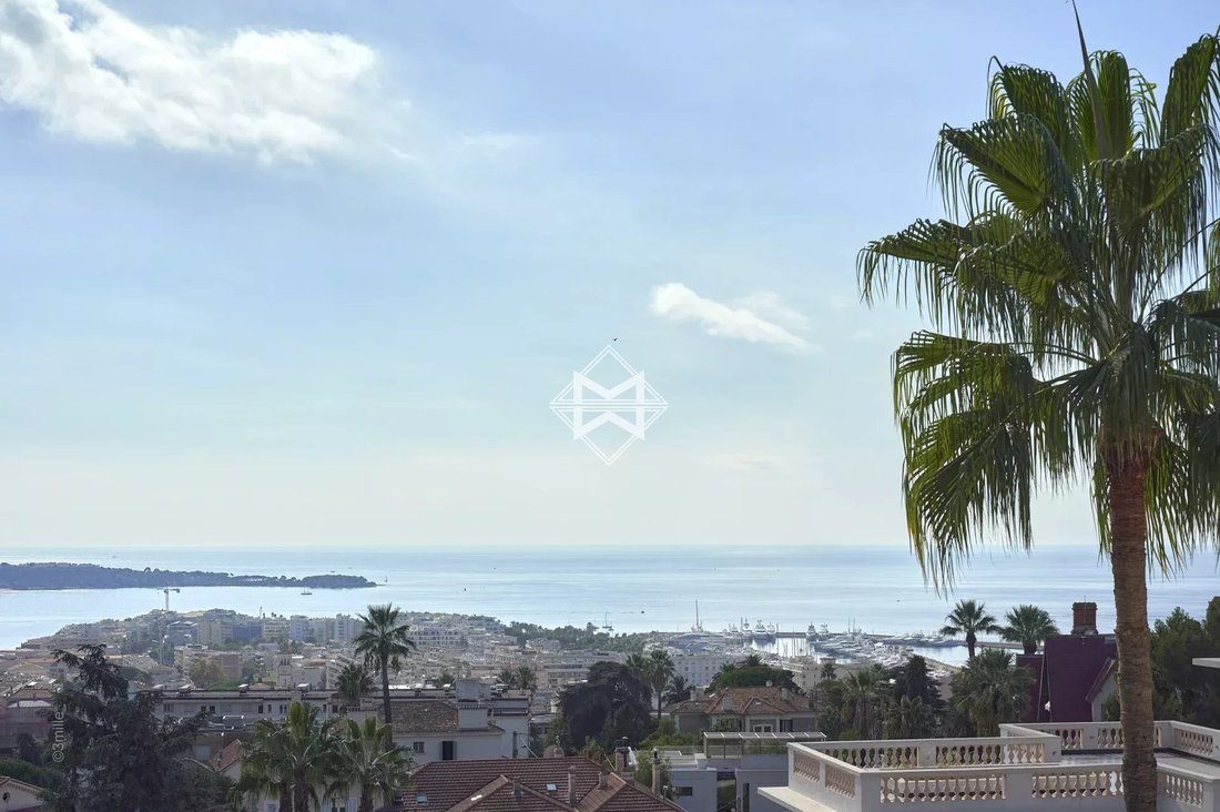 Villa in Cannes, Provence-Alpes-Côte d'Azur, France 4 - 11810001