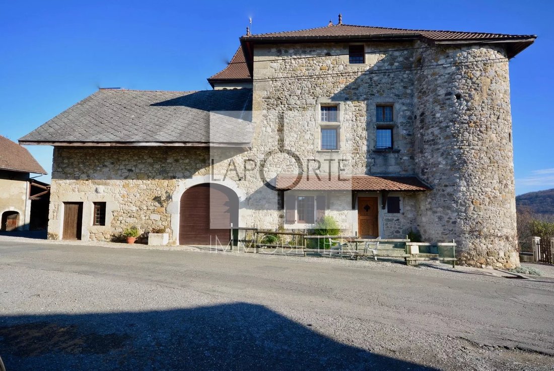 Castle in Choisy, Auvergne-Rhône-Alpes, France 1 - 12941561