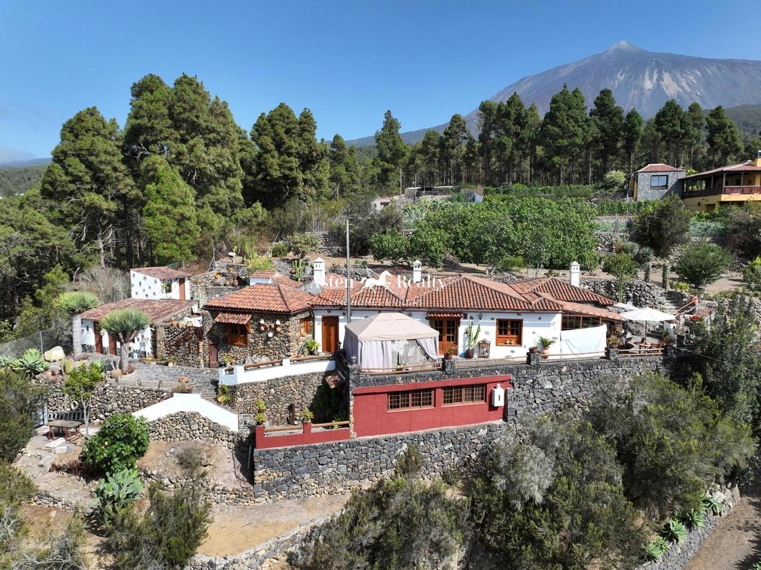 Villa in Icod de los Vinos, Canary Islands, Spain 2 - 13901350
