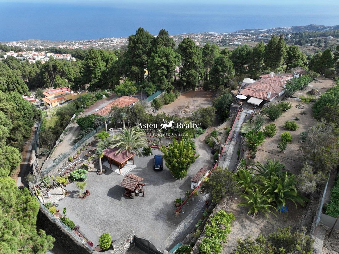 Villa in Icod de los Vinos, Canary Islands, Spain 4 - 13901350