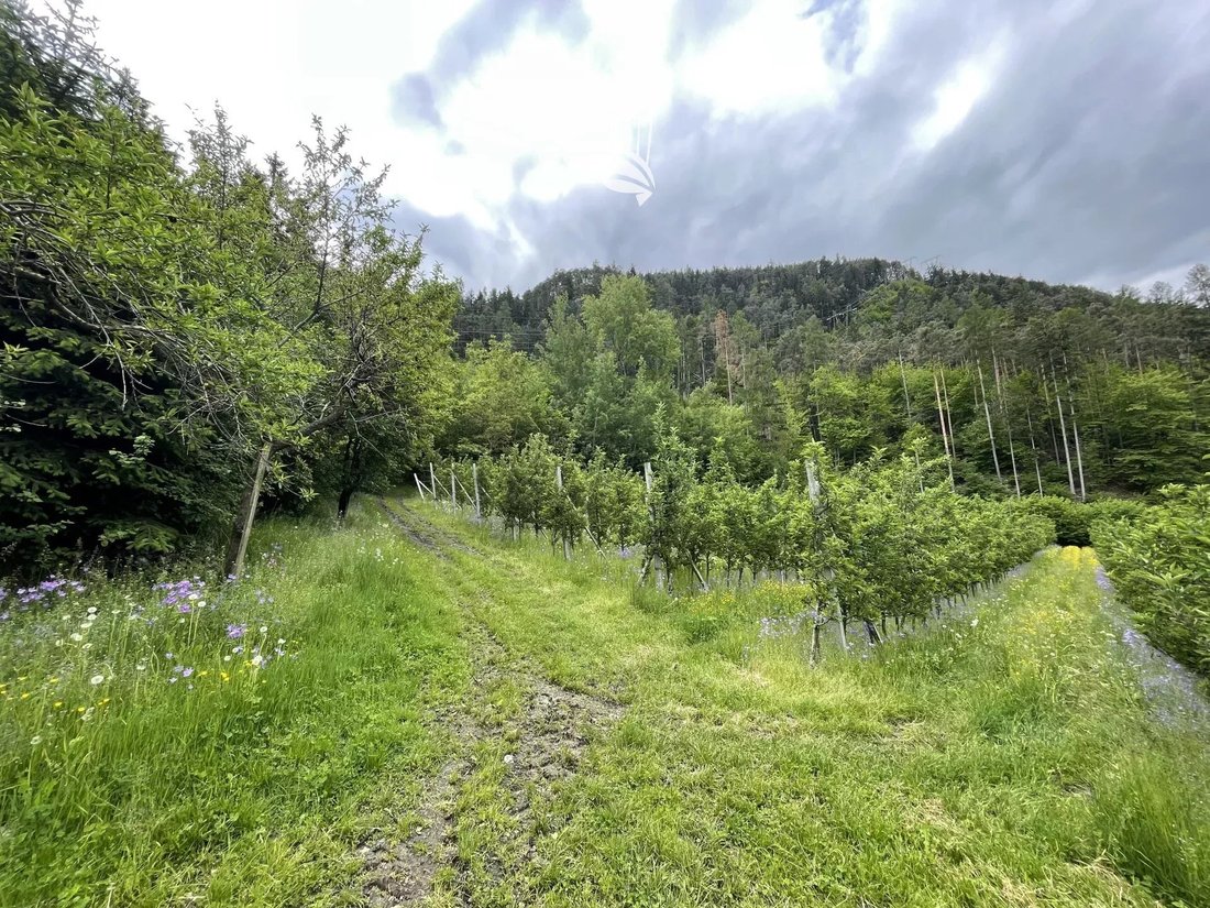 Land in Brixen, Trentino – Alto Adige/Südtirol, Italy 1 - 13780549