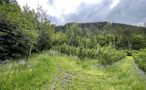 Land in Brixen, Trentino – Alto Adige/Südtirol, Italy 1