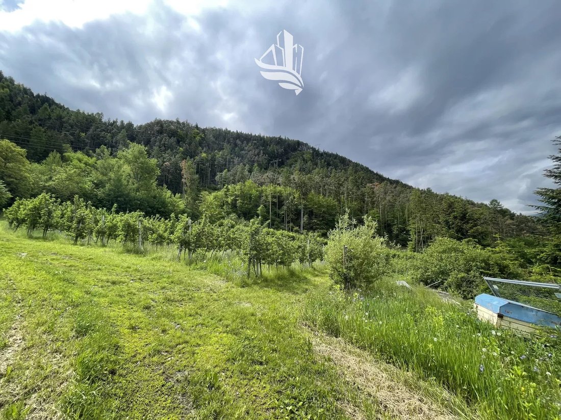 Land in Brixen, Trentino – Alto Adige/Südtirol, Italy 4 - 13780549