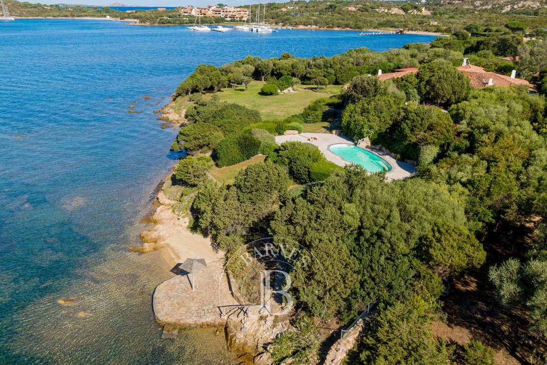 Villa in Porto Rotondo, Olbia, Sardinia 3 - 11802959