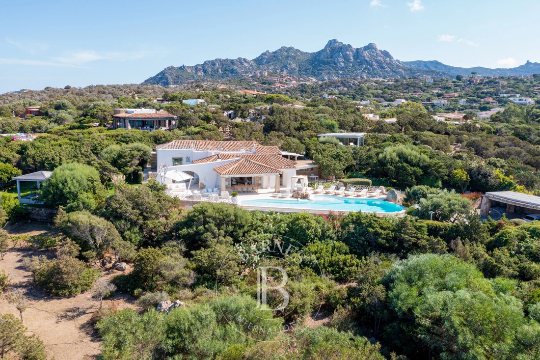 Villa in Marina di Porto Cervo, Porto Cervo, Italy 4 - 11802962
