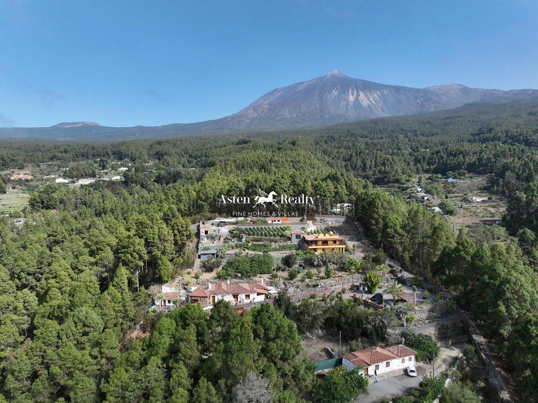 Villa in Icod de los Vinos, Canary Islands, Spain 3 - 13901350