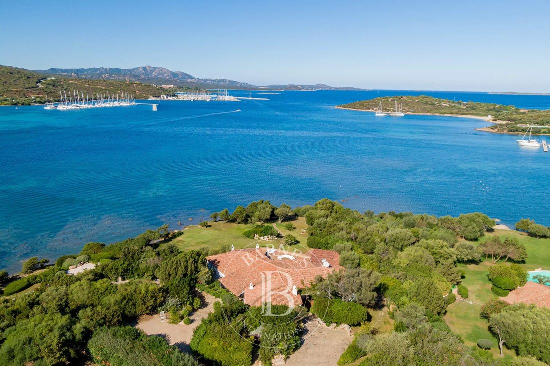 Villa in Porto Rotondo, Olbia, Sardinia 2 - 11802959