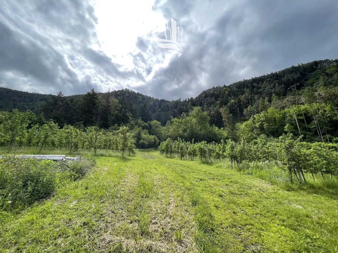 Land in Brixen, Trentino – Alto Adige/Südtirol, Italy 2 - 13780549