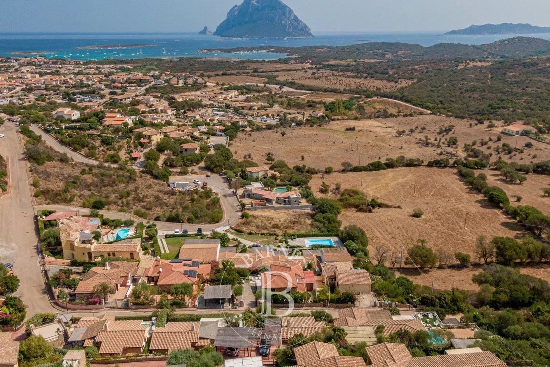 Apartment in Loiri Porto San Paolo, Sardinia, Italy 1 - 13652596