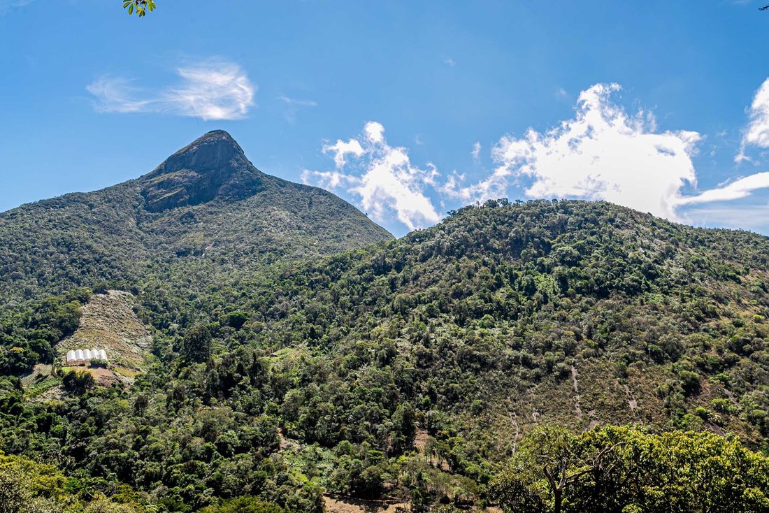 Petrópolis, State of Rio de Janeiro, Brazil 3 - 14961347