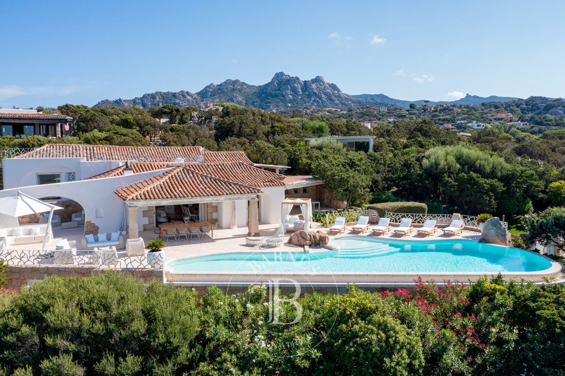 Villa in Marina di Porto Cervo, Porto Cervo, Italy 5 - 11802962