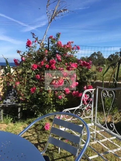 Villa in L'Île-Rousse, Corsica, France 2 - 13231187