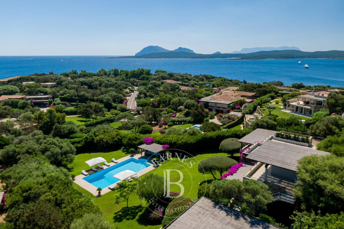 Villa in Porto Rotondo, Olbia, Sardinia 3 - 11802972