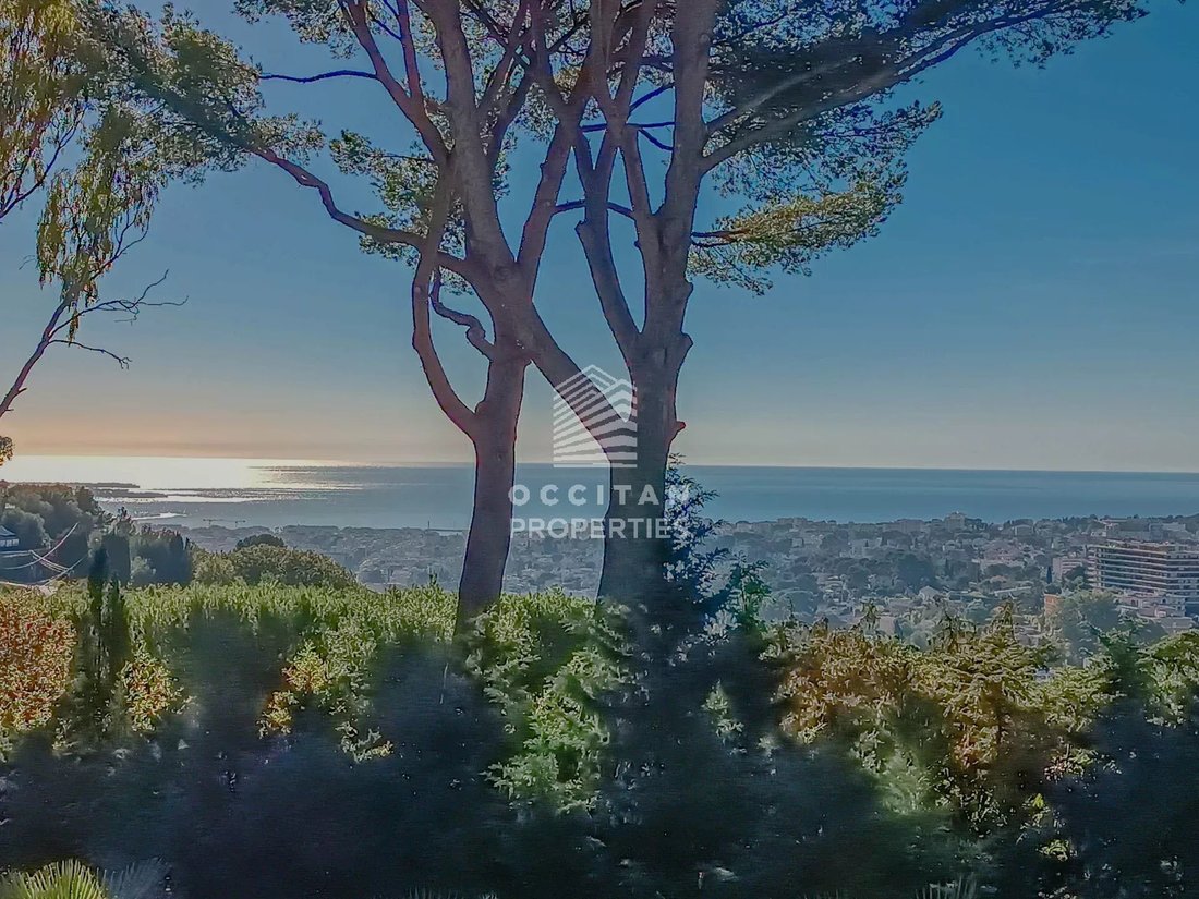 Villa in Moulieres, Le Cannet, France 1 - 13559469