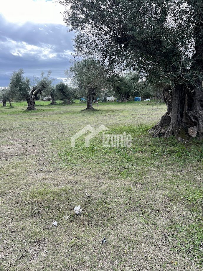 Land in Municipal Commune of Zakynthos, Peloponnese, Western Greece and the Ionian, Greece 4 - 14962050