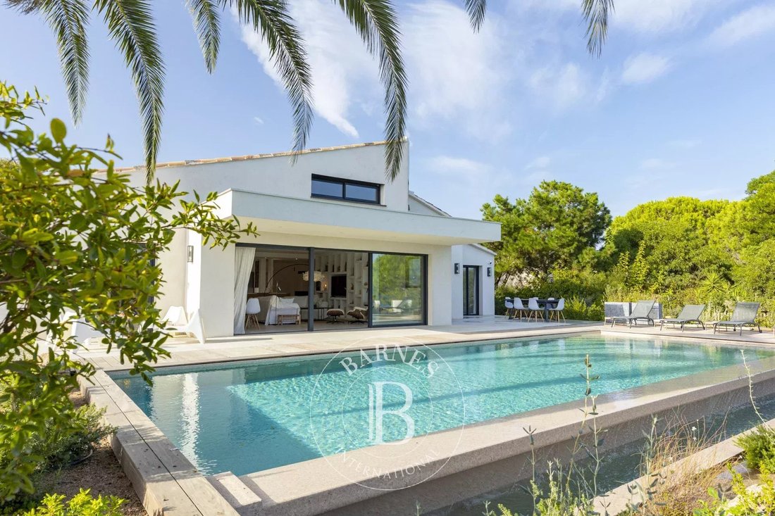 Villa in Lecci, Corsica, France 4 - 12953366