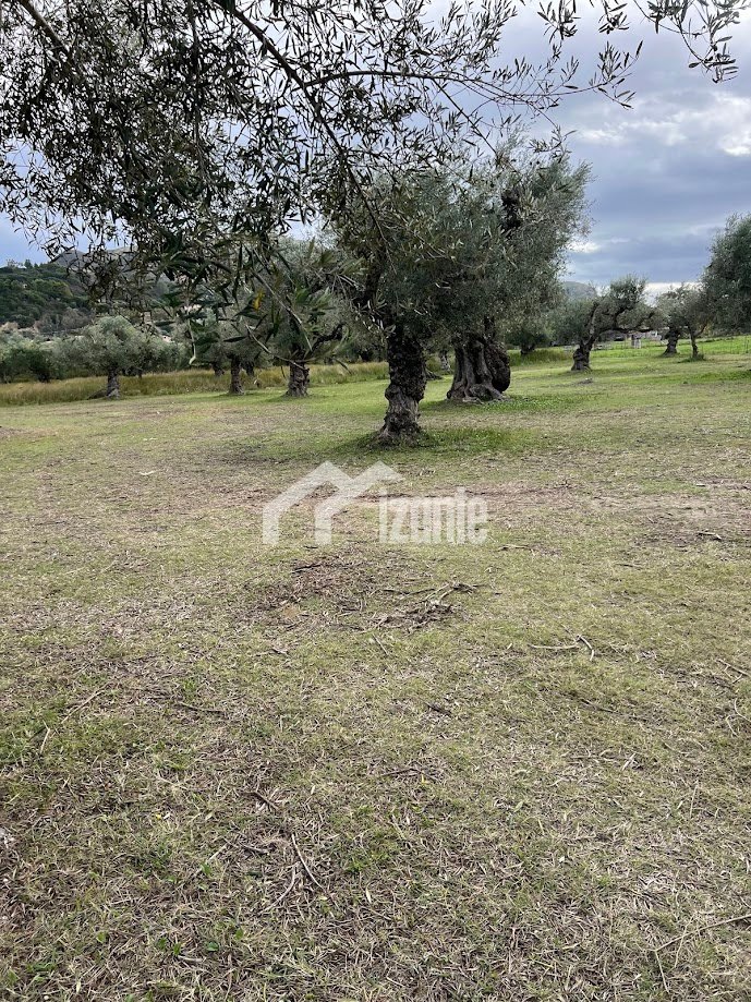 Land in Municipal Commune of Zakynthos, Peloponnese, Western Greece and the Ionian, Greece 5 - 14962050