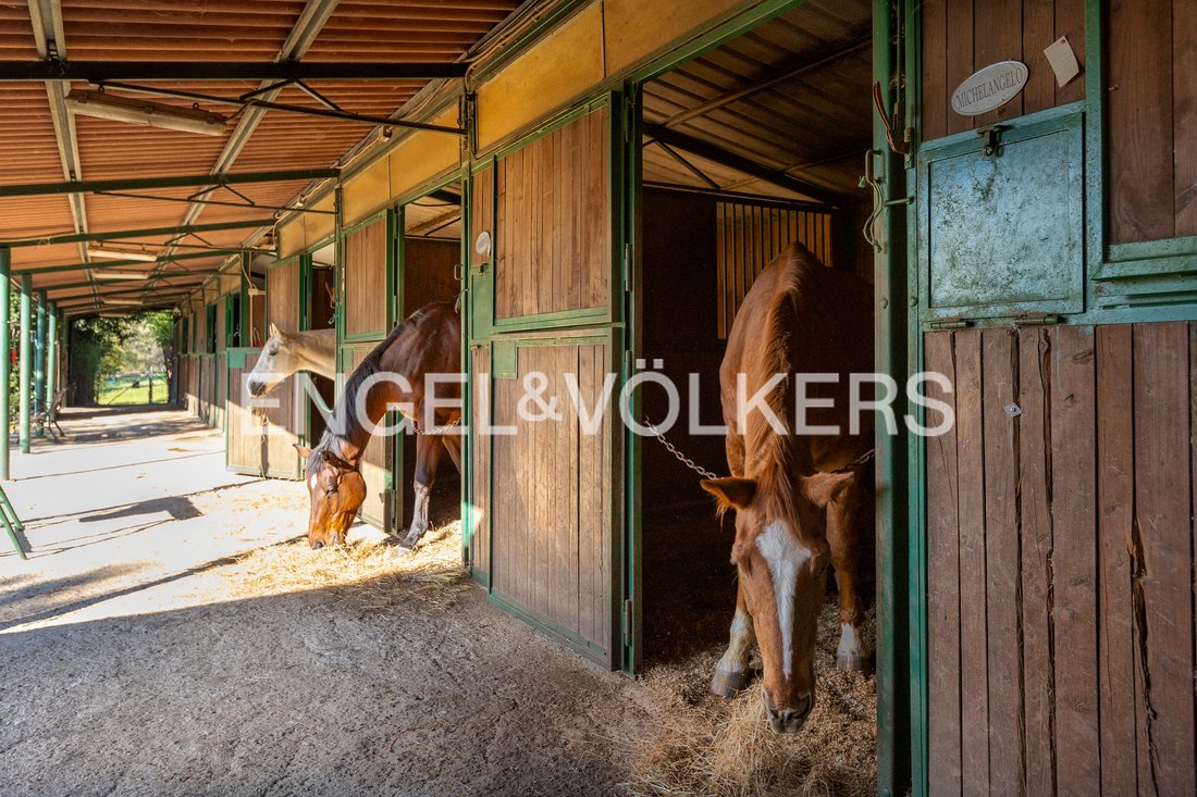 Country House in Castelnuovo Berardenga, Tuscany, Italy 1 - 14962640