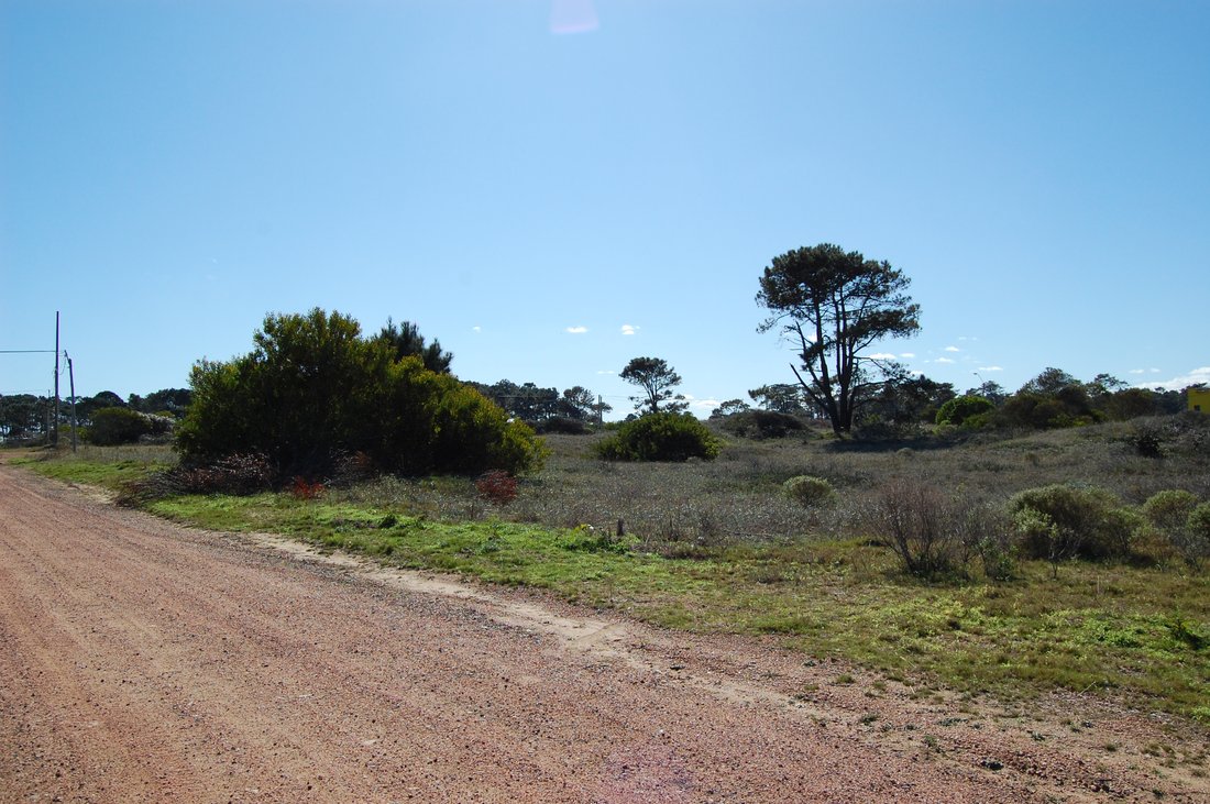 Spectacular Plot Of Land In Punta Del Este, Maldonado Department ...