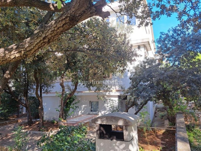 House in Mandre, Croatia 4 - 14963887