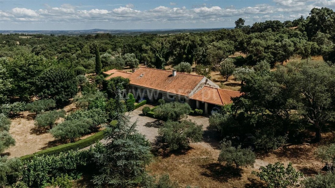 Farm Ranch in Castelo Novo, Castelo Branco District, Portugal 1 - 14928385