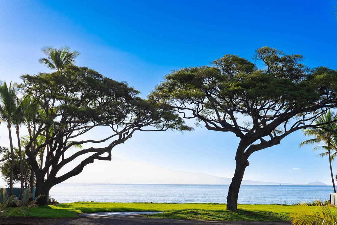 Land in Wailuku, Hawaii, United States 2 - 14965425
