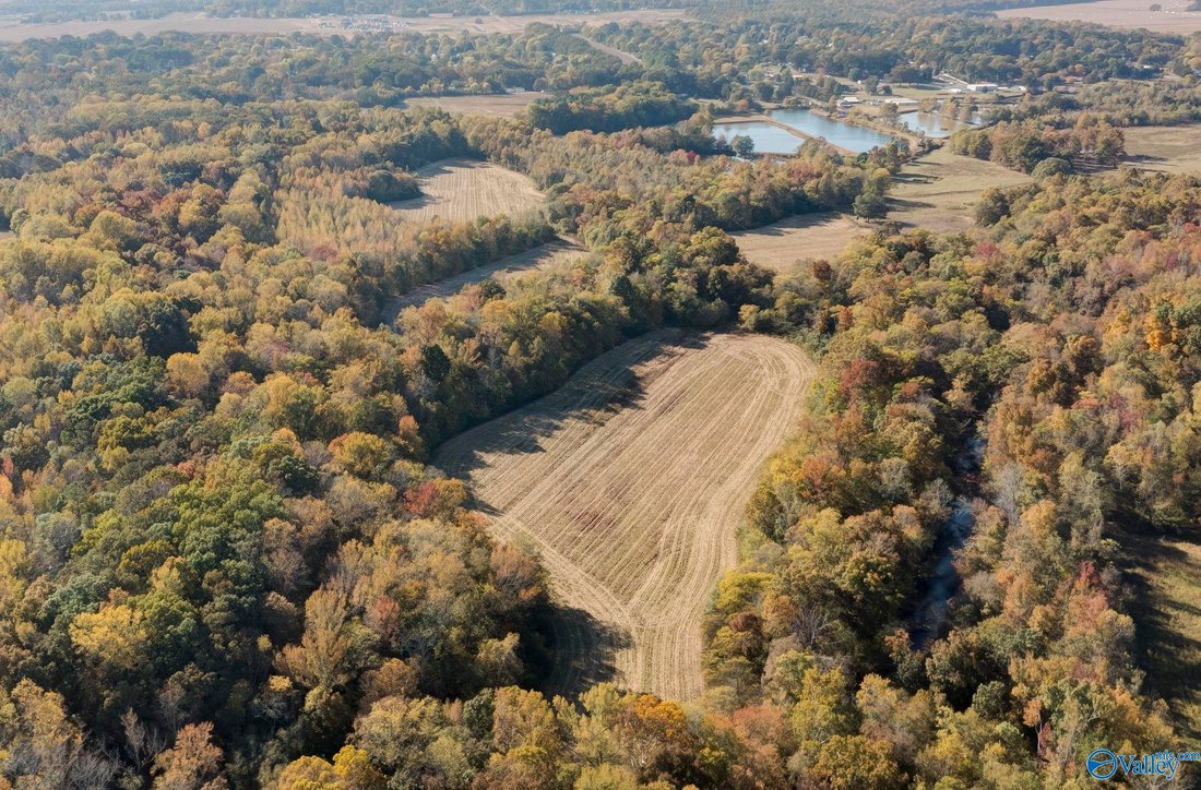 Land in Redstone Arsenal, Alabama, United States 3 - 14969209