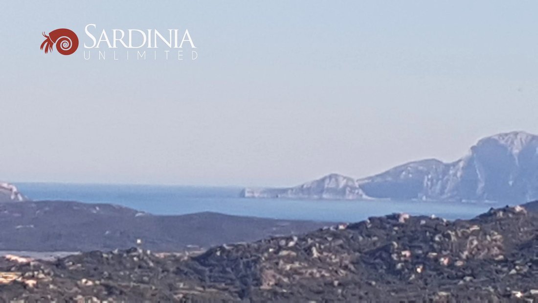 Land in San Pantaleo, Olbia, Italy 5 - 12603514