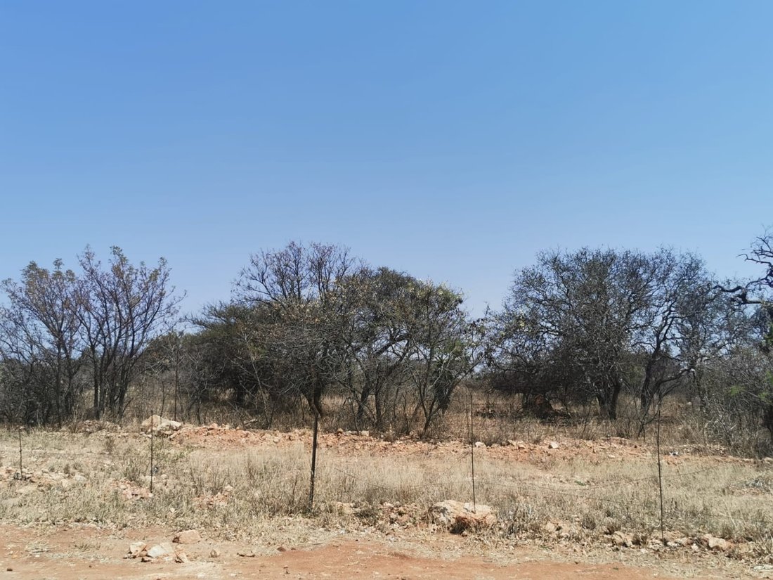Land in Woodlands Estate, Limpopo, South Africa 3 - 14968920