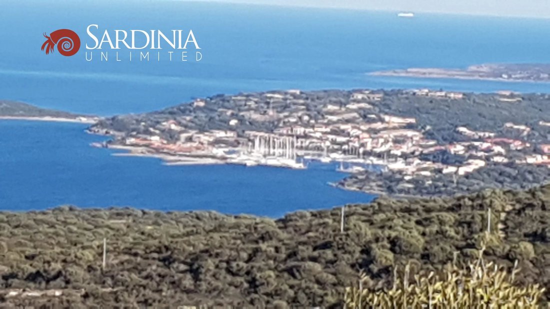Land in San Pantaleo, Olbia, Italy 3 - 12603514