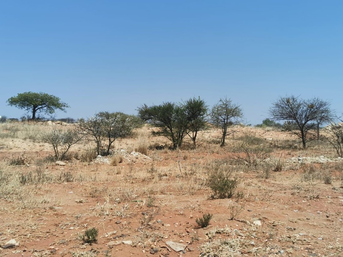 Land in Woodlands Estate, Limpopo, South Africa 3 - 14968928