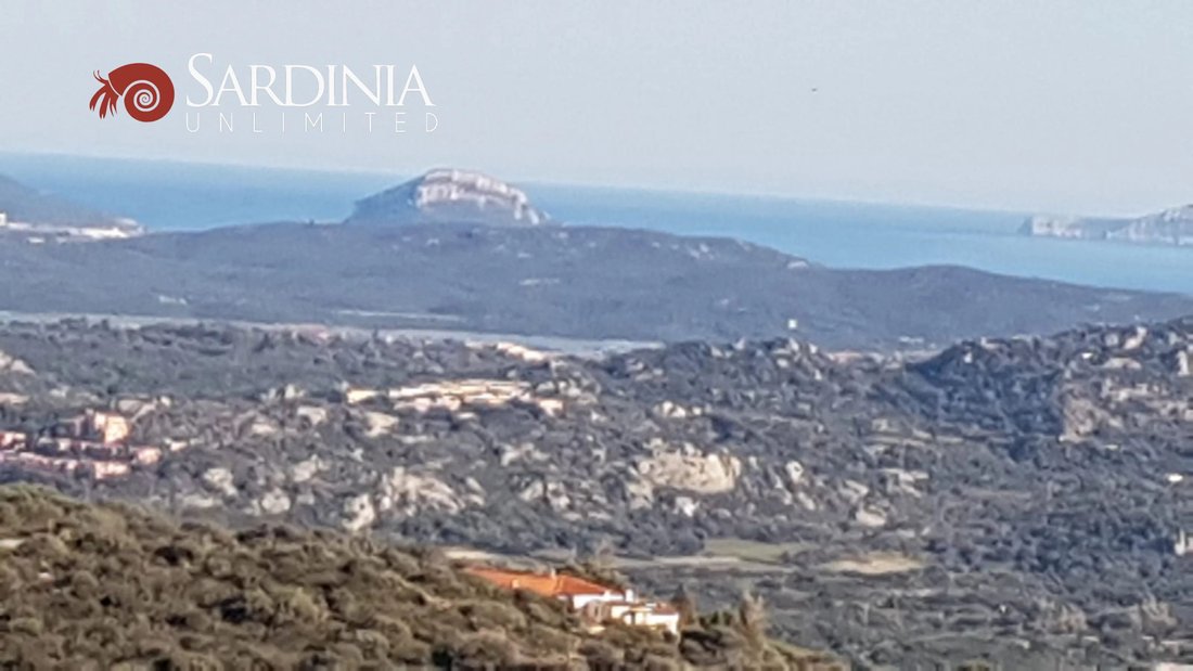 Land in San Pantaleo, Olbia, Italy 4 - 12603514