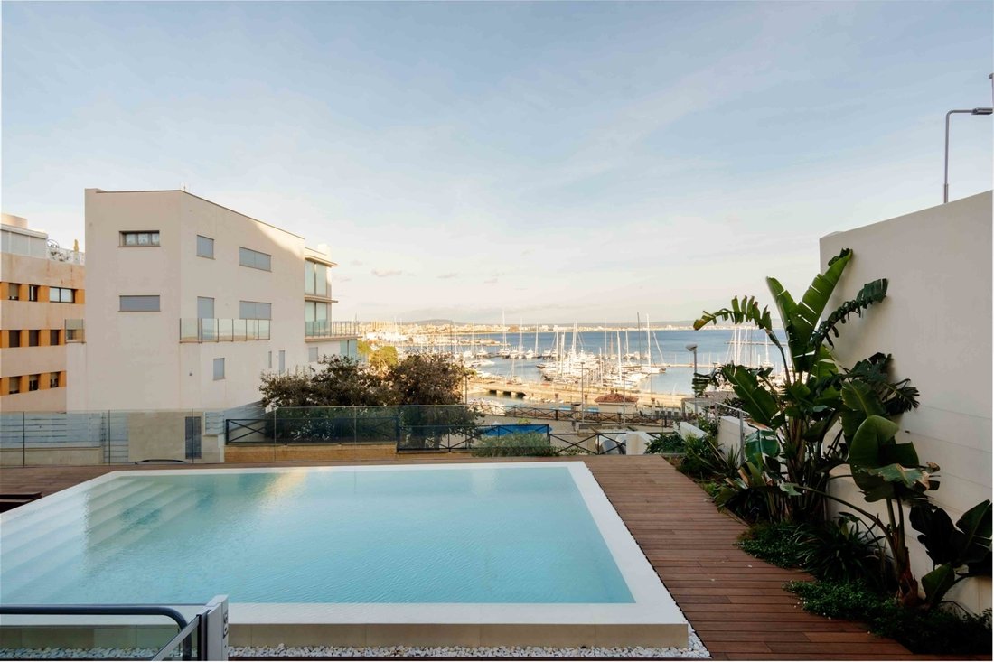 Apartment in Palma, Balearic Islands, Spain 1 - 14971551