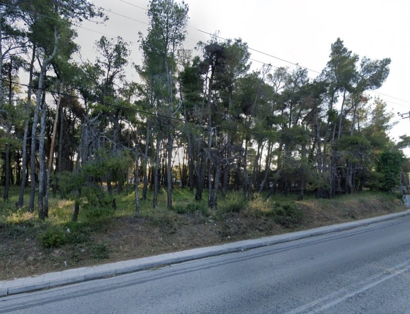 Land in Dionysos, Attica, Greece 4 - 13069319